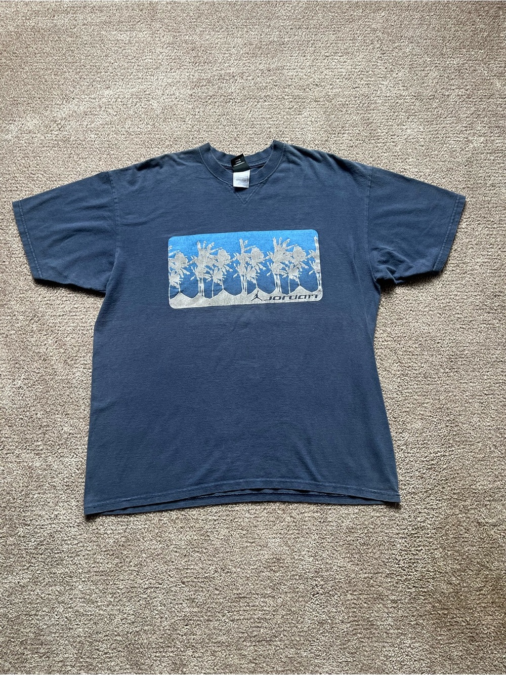 VTG 00’s / Y2K Nike Air Jordan Palm Tree Puff Print Blue Graphic Tee